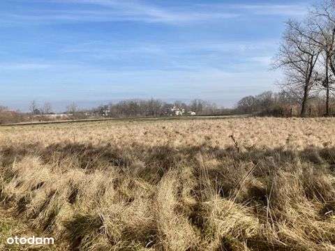 Działka, 1 100 m², Smólsk - Pełny obrazek: 4/7