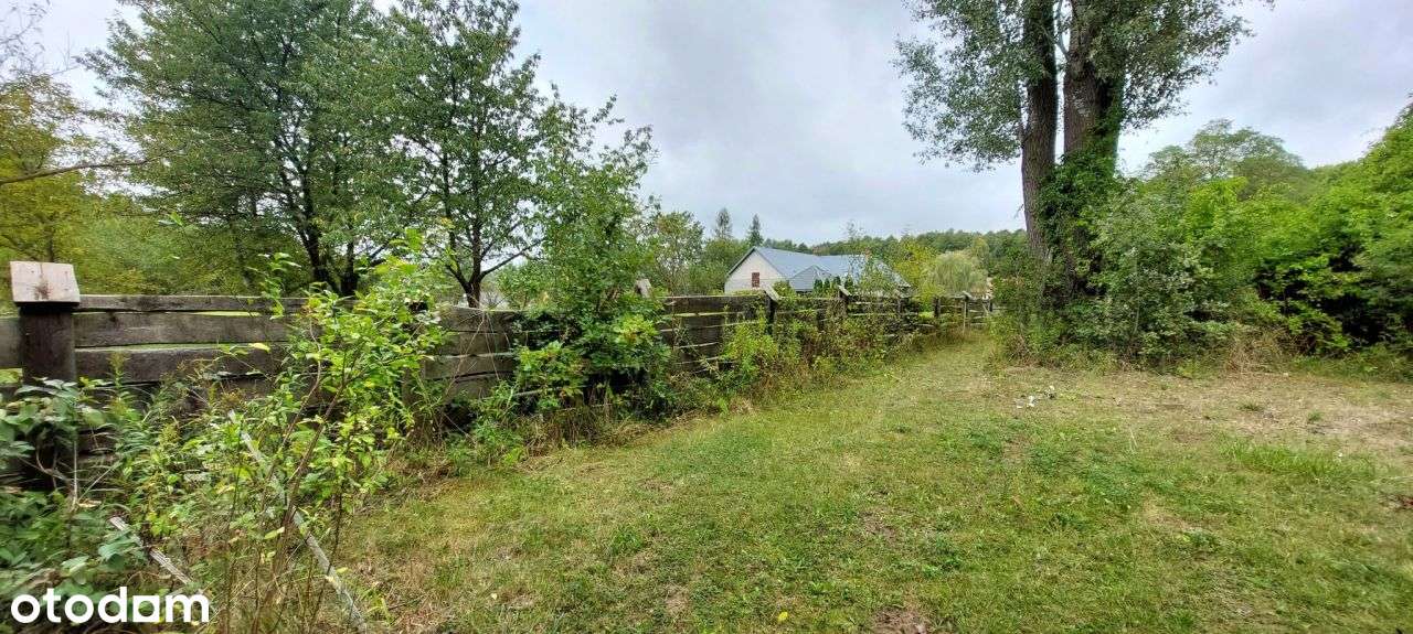 Ranczo Wilkolandia 2 ha zabudowania i staw - Pełny obrazek: 5/14