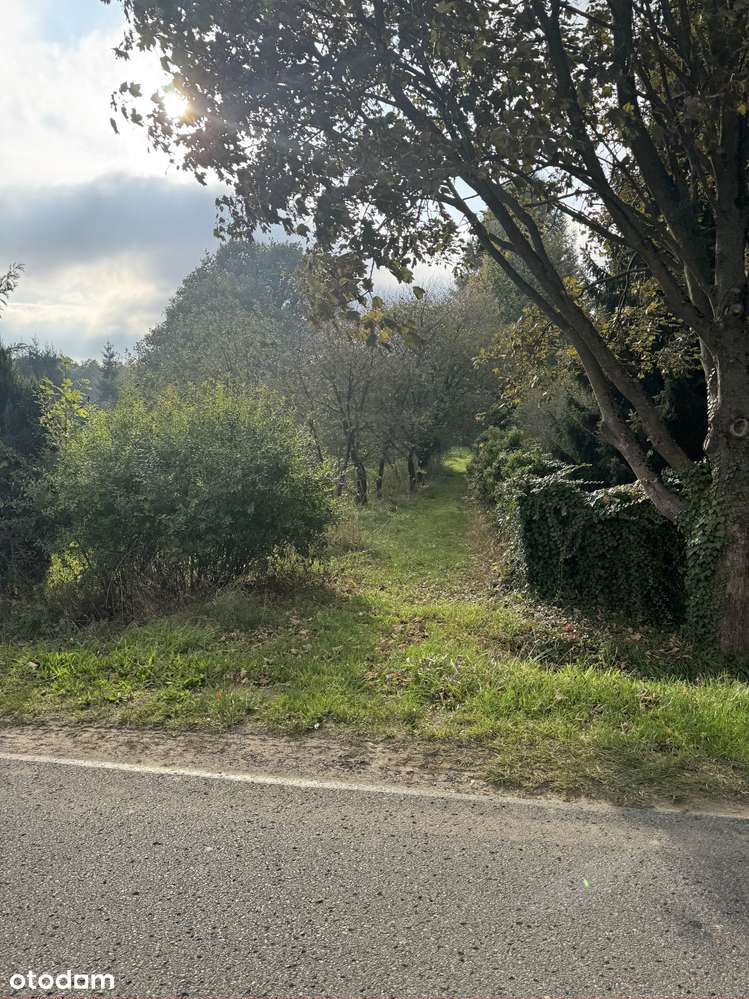 Piękna działka budowlana w Radawcu Dużym - 10 min od Lublina - WZ - Pełny obrazek: 5/8