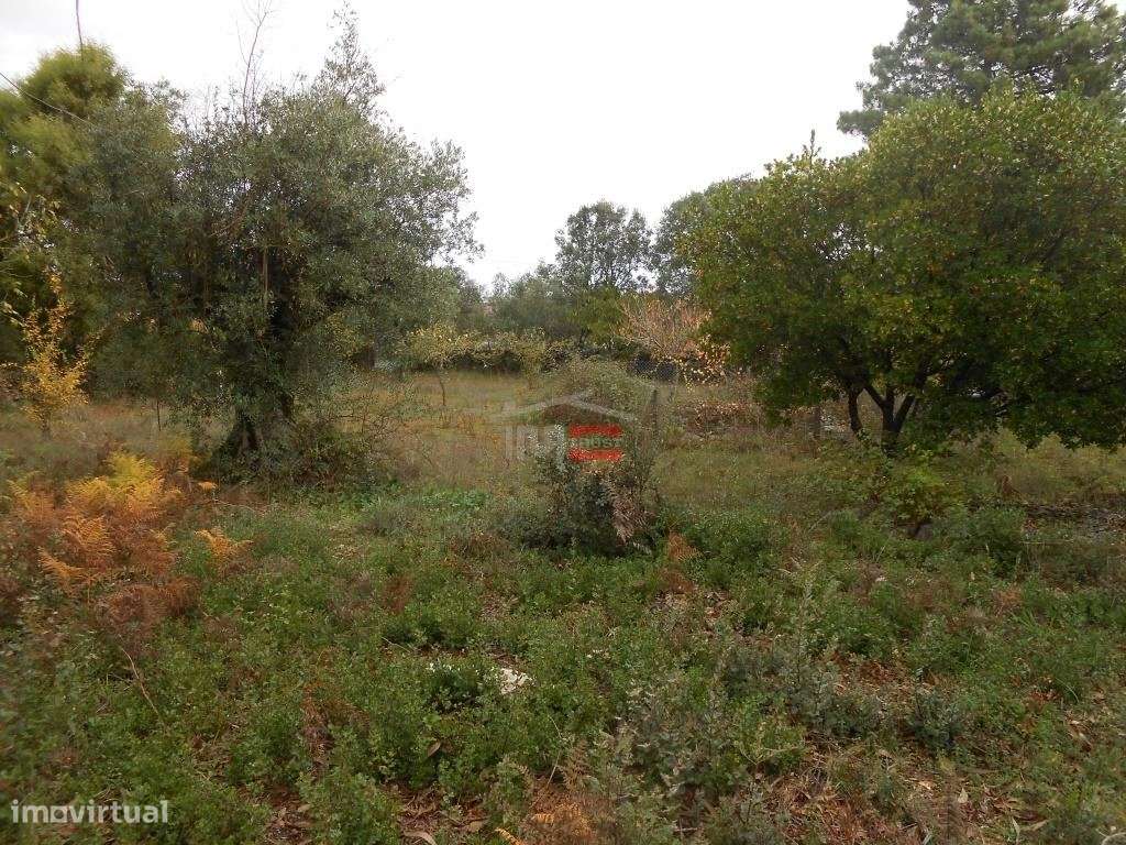 Terreno para Construção - Grande imagem: 4/14
