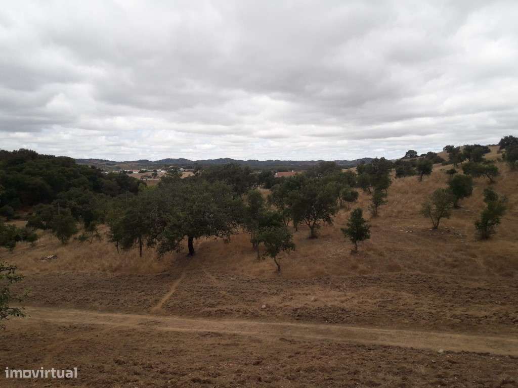 Monte Alentejano Venda Odemira-11