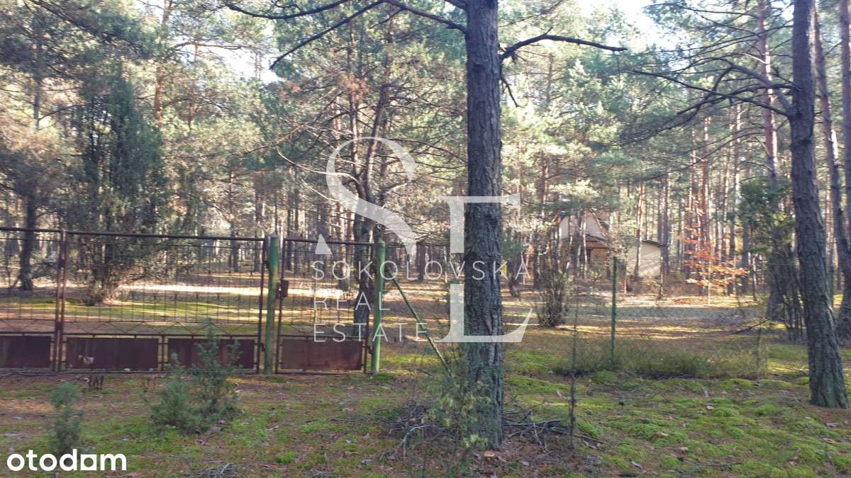 Wyjątkowa działka 3364m2 I Zalew Zegrzyński 5 km - Pełny obrazek: 4/9