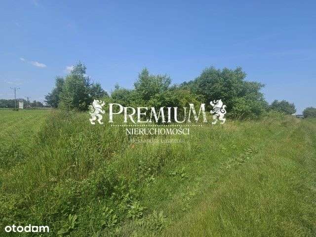 6 działek budowlanych w Turowie - Pełny obrazek: 4/6