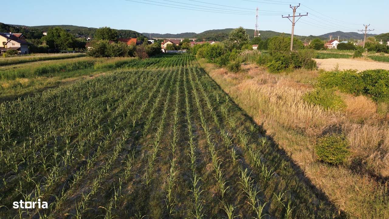 OFERTA /  TEREN 2890 MP / ZONA BUDESTI /-2