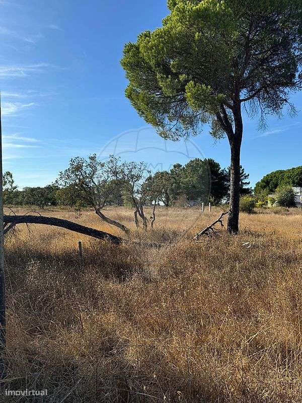 Terreno  para venda - Grande imagem: 5/7