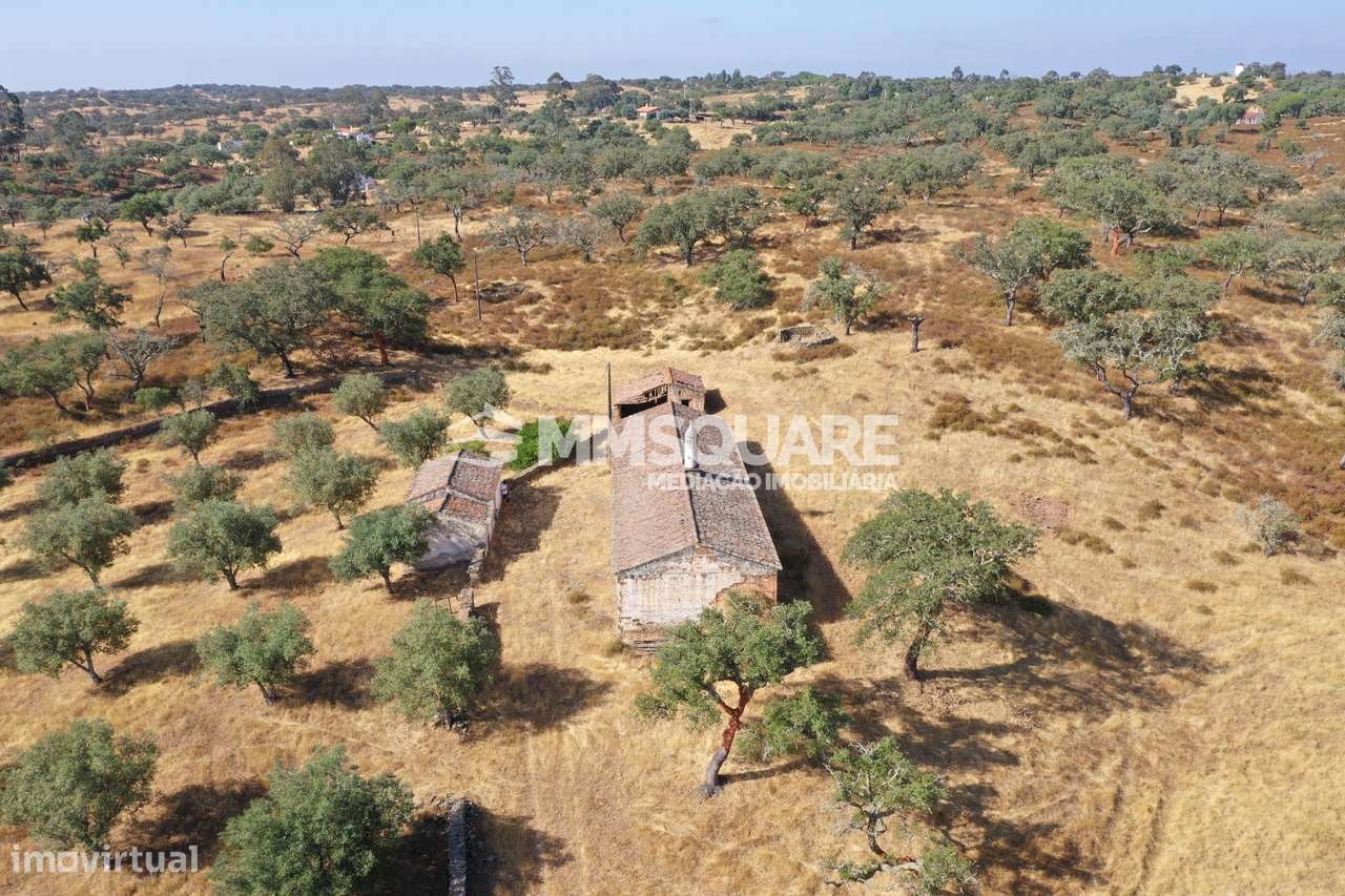 Monte do Chaparral — Ourique-18