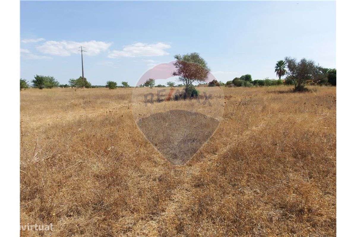 Terreno  para venda - Grande imagem: 4/12