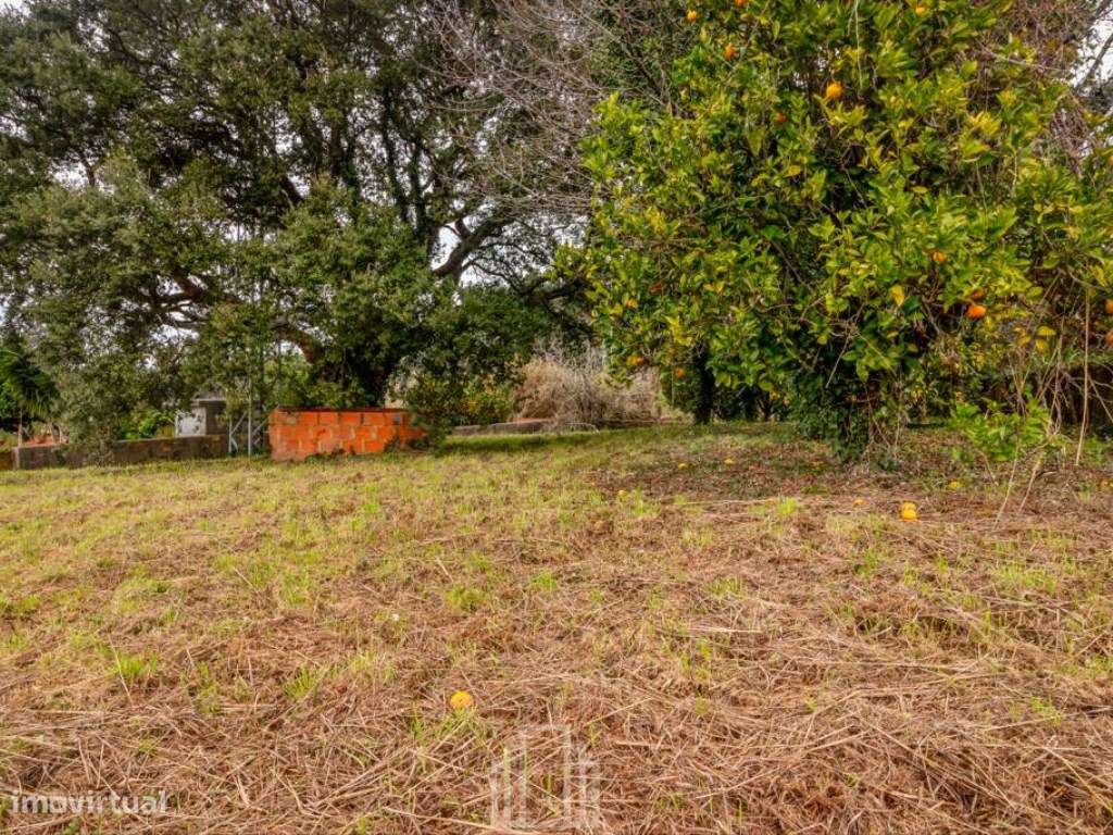 Lote - Salreu - Grande imagem: 2/11