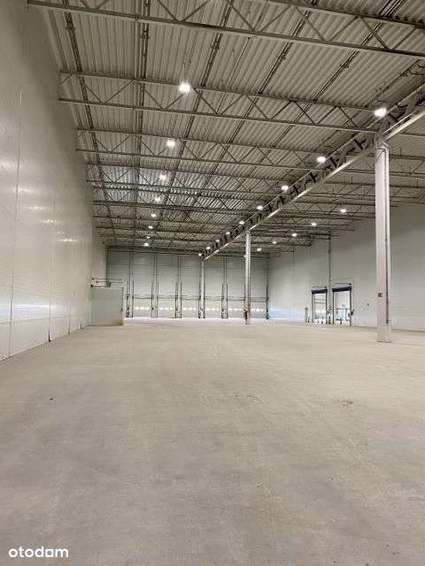 Nowoczesny magazyn na wynajem, Poznań - Franowo - Pełny obrazek: 4/4