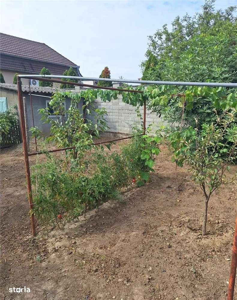 Apartament 1 camera-Centrala-Elisabetin-Curte - Imagine principală: 4/6