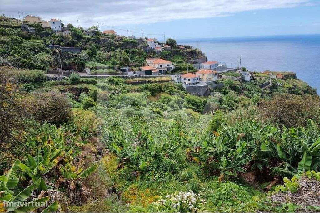 Terreno na Calheta.  Para Construção de moradias. vista mar - Grande imagem: 4/15