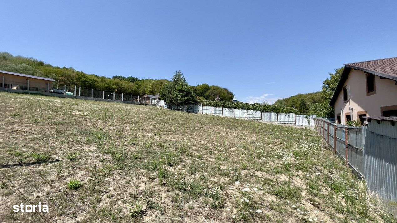 Teren Intravilan de Vis in Bascov, la Marginea Padurii! - Imagine principală: 3/5