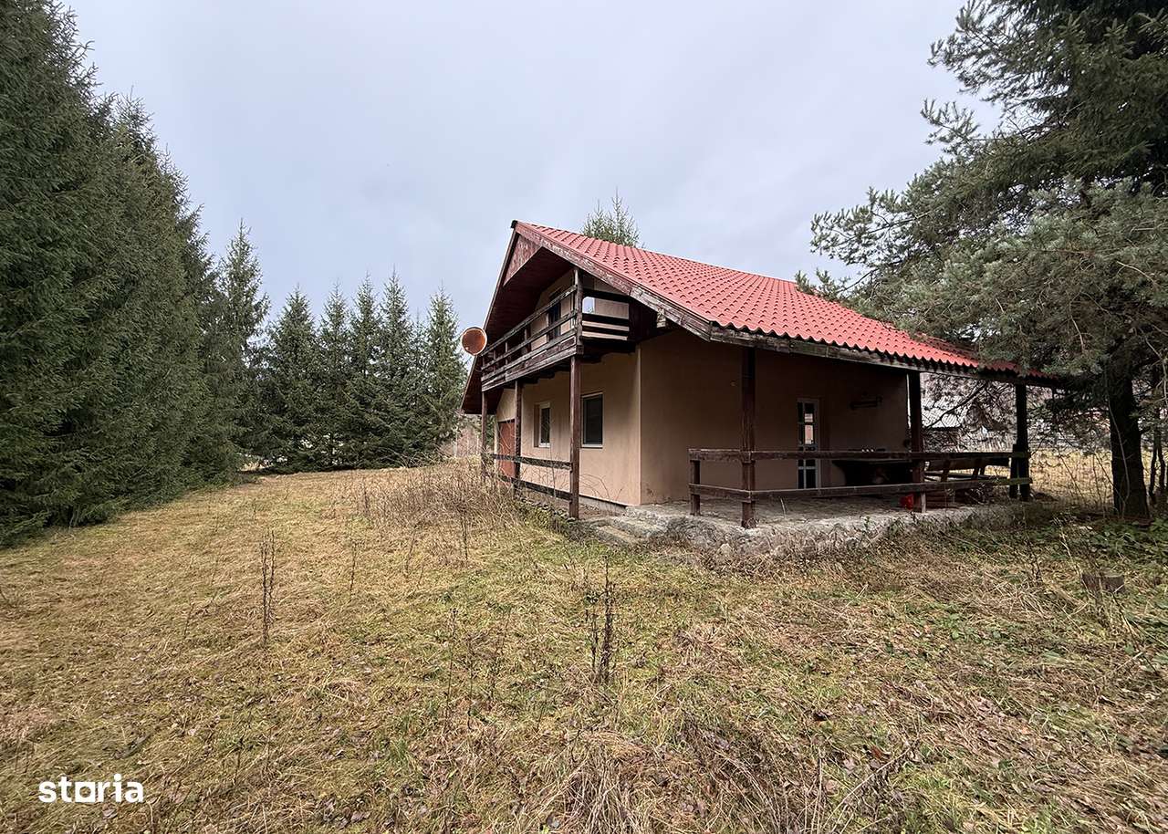 Casa de vacanta - Lacul Lesu - Coada lacului - IMOBIHOR - Imagine principală: 4/8