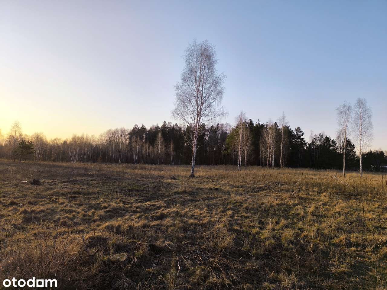 Wymarzone miejsce na dom w Olmontach. BEZPOŚREDNIO. - Pełny obrazek: 5/5