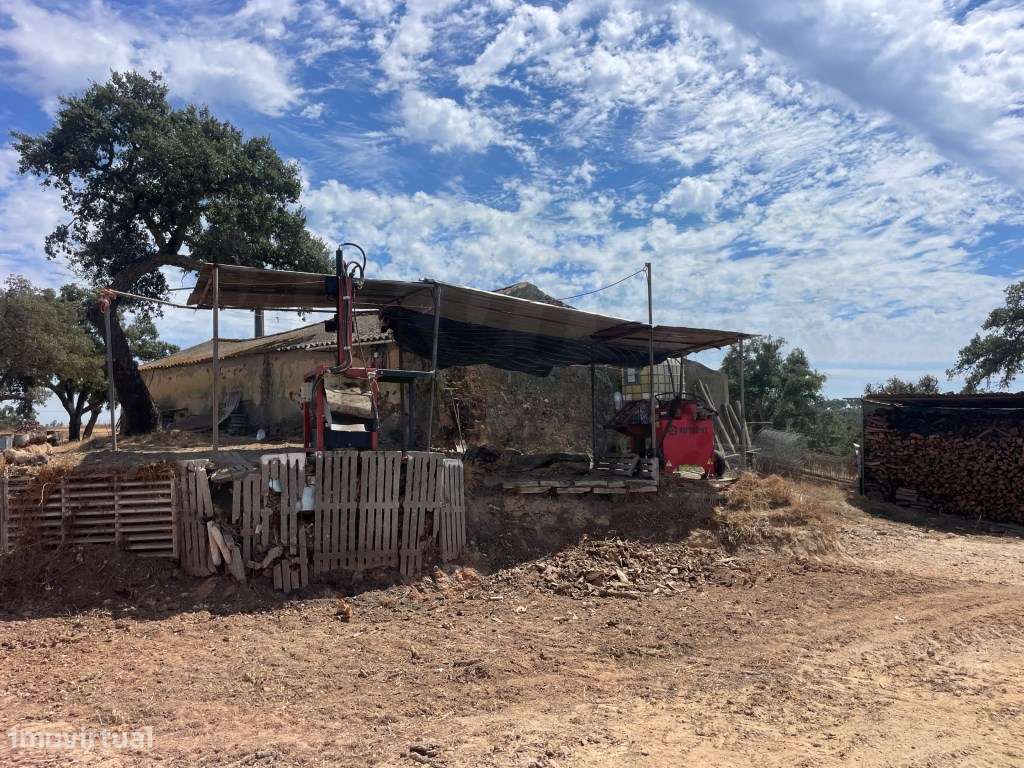 HERDADE COM 100 HECTARES E BASTANTE ARBORIZAÇÃO-46