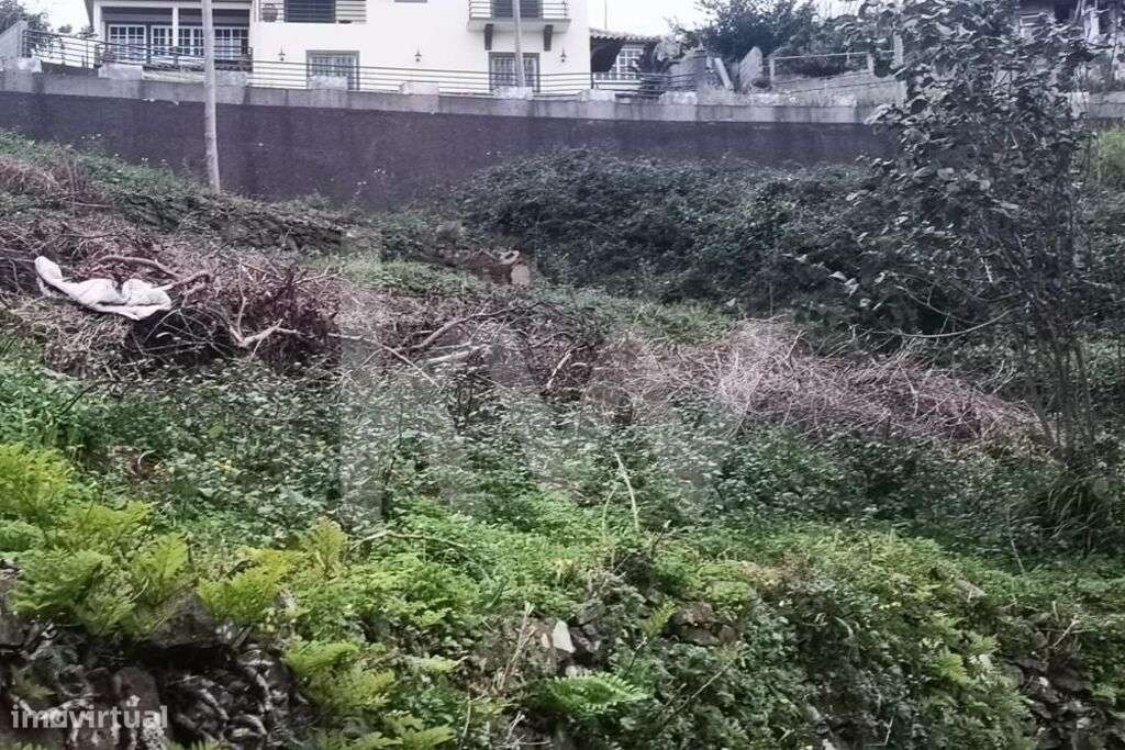 TERRENO PARA CONSTRUÇÃO - SALÃO - GAULA - Grande imagem: 4/12