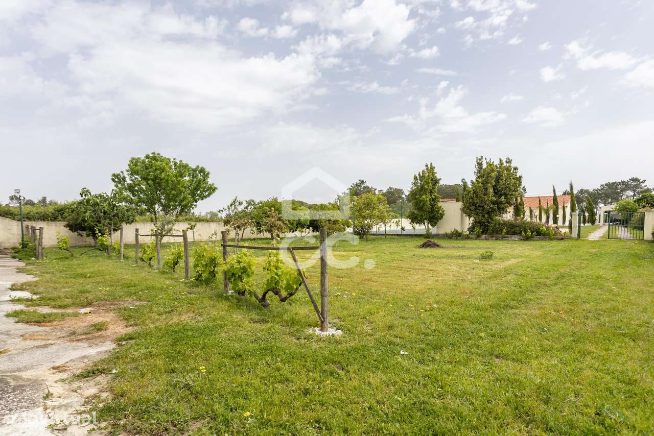 Quinta com 5 quartos com  piscina, campo de jogos e Boxs para cavalos-59