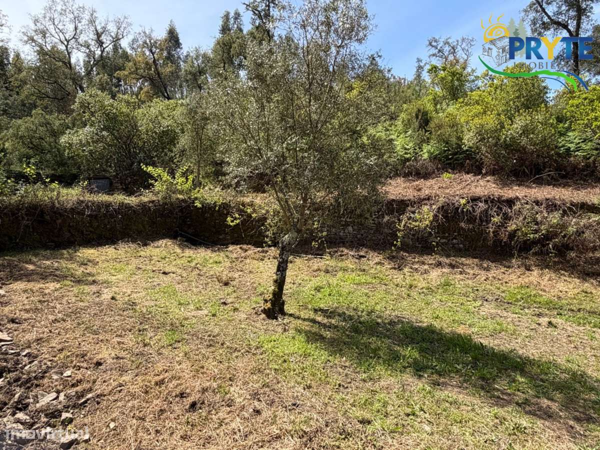 Terreno com uma ruína não registada a 6 quilómetros da Sertã-18