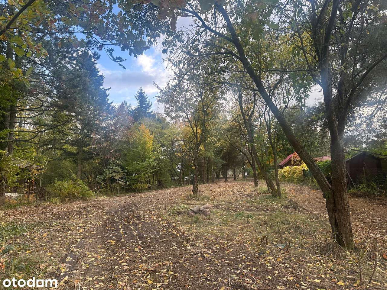 Dz. letniskowa blisko rzeki Świder 30 min z Warszawy S8 opcja podziału-6