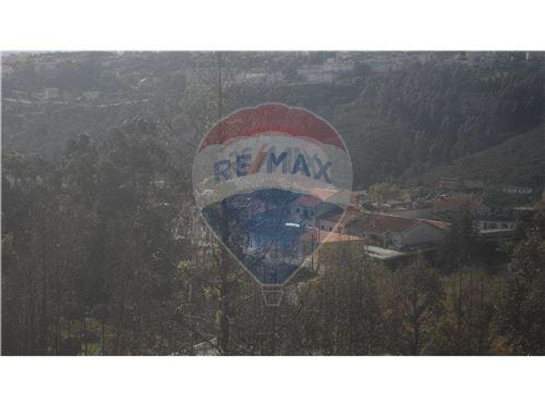 TERRENO COM 26314M2 - Grande imagem: 4/8