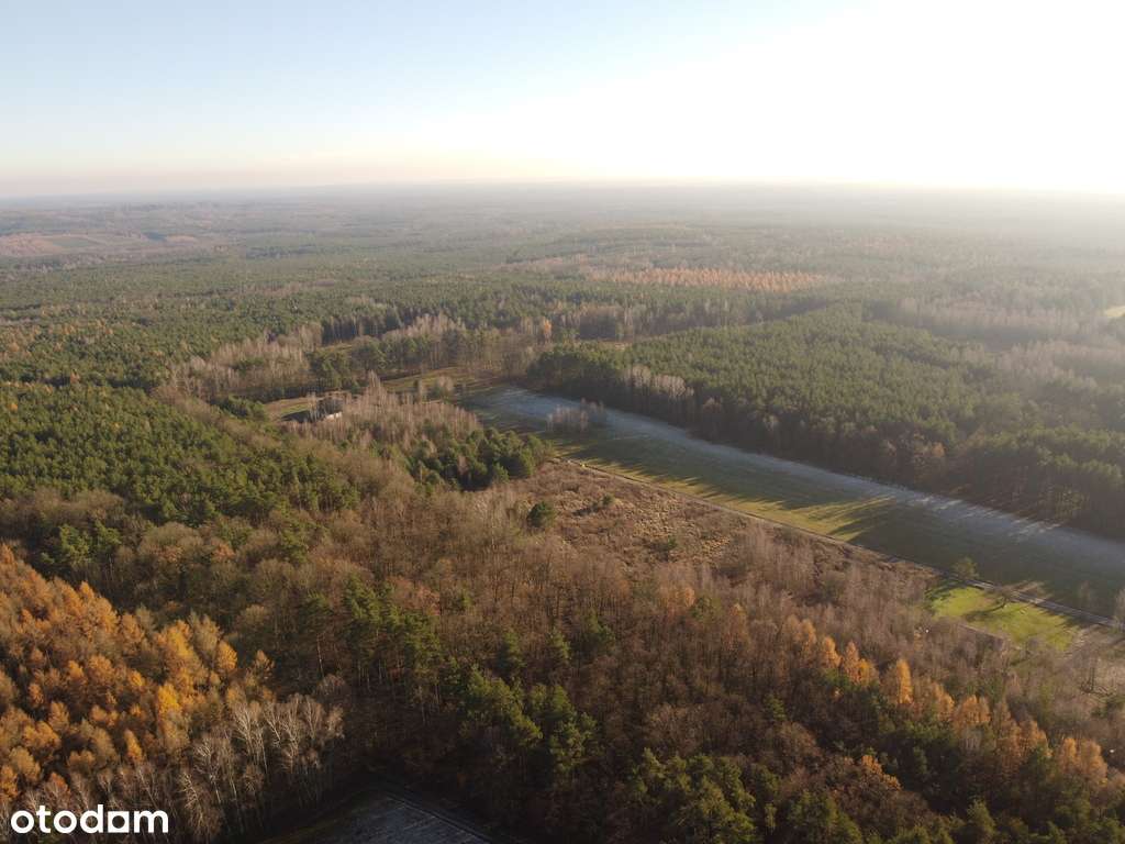 Działka budowlana przy lesie Holendry-3