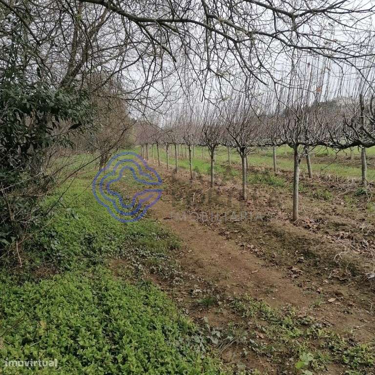 Terreno em Ermesinde com 2.900m2 - Grande imagem: 5/7