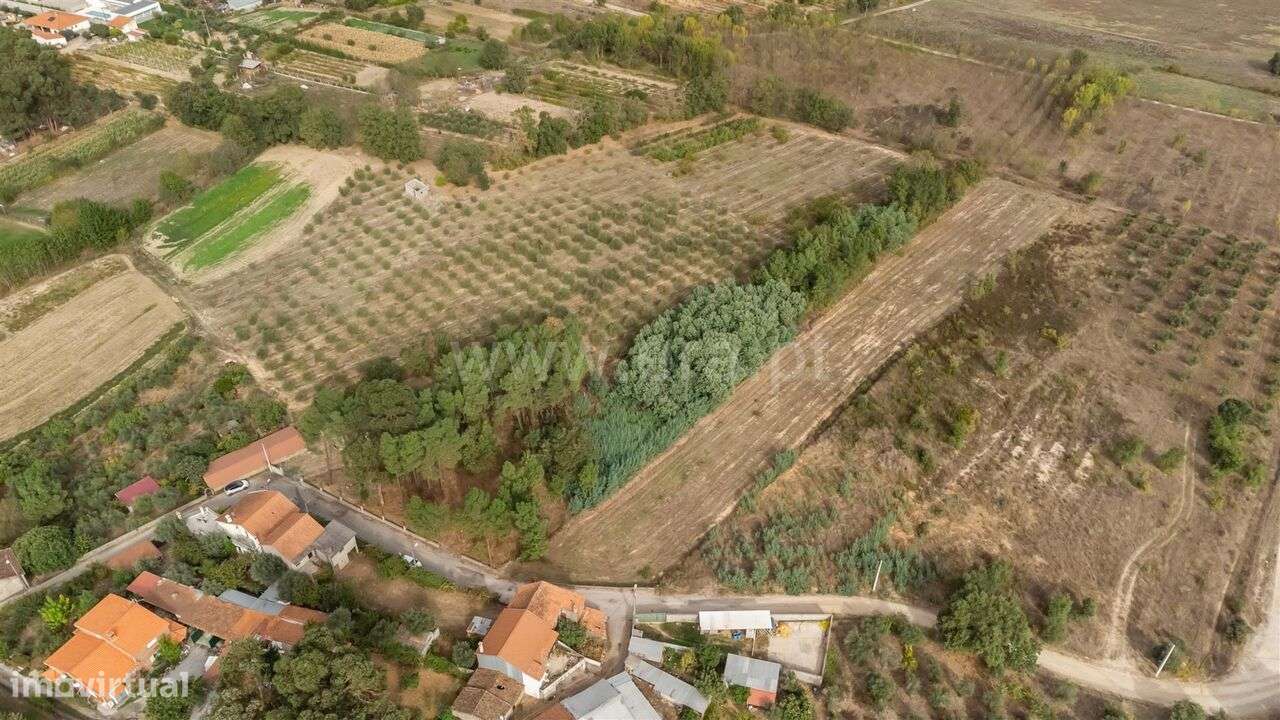 Terreno Rústico / Fundão, Valverde - Grande imagem: 2/12