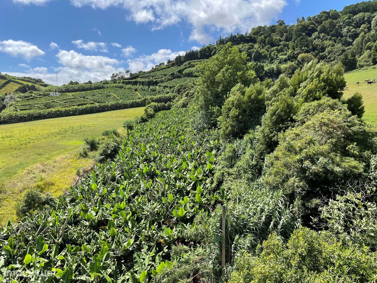 Moradia Isolada com Vista Mar inserida em Quinta - Grande imagem: 5/17