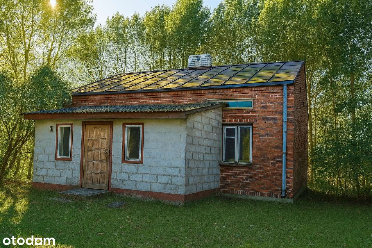 Siedlisko w Głuchowie na dużej działce - Pełny obrazek: 5/16