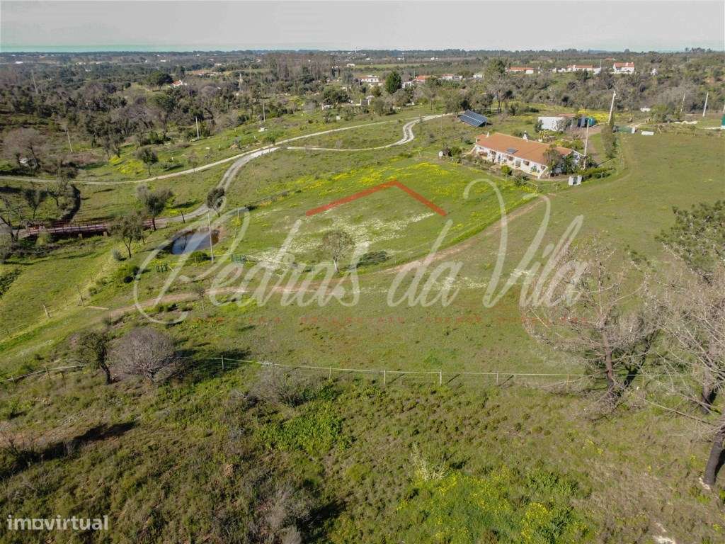 Quinta com 6,5ha em Vale Juncal - São Teotónio-3