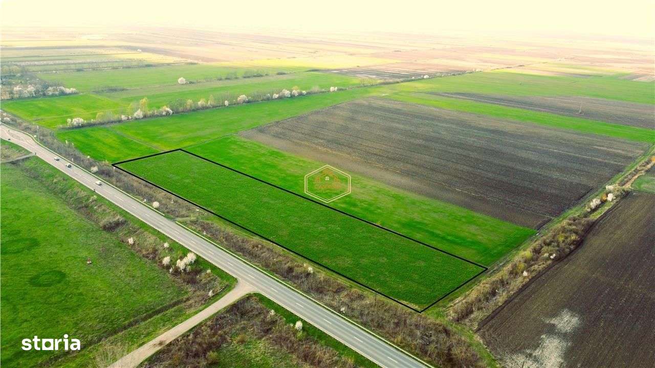 Teren cu front 209 m la DN19 | Logistica - Servicii | 13 km Satu Mare - Imagine principală: 2/7