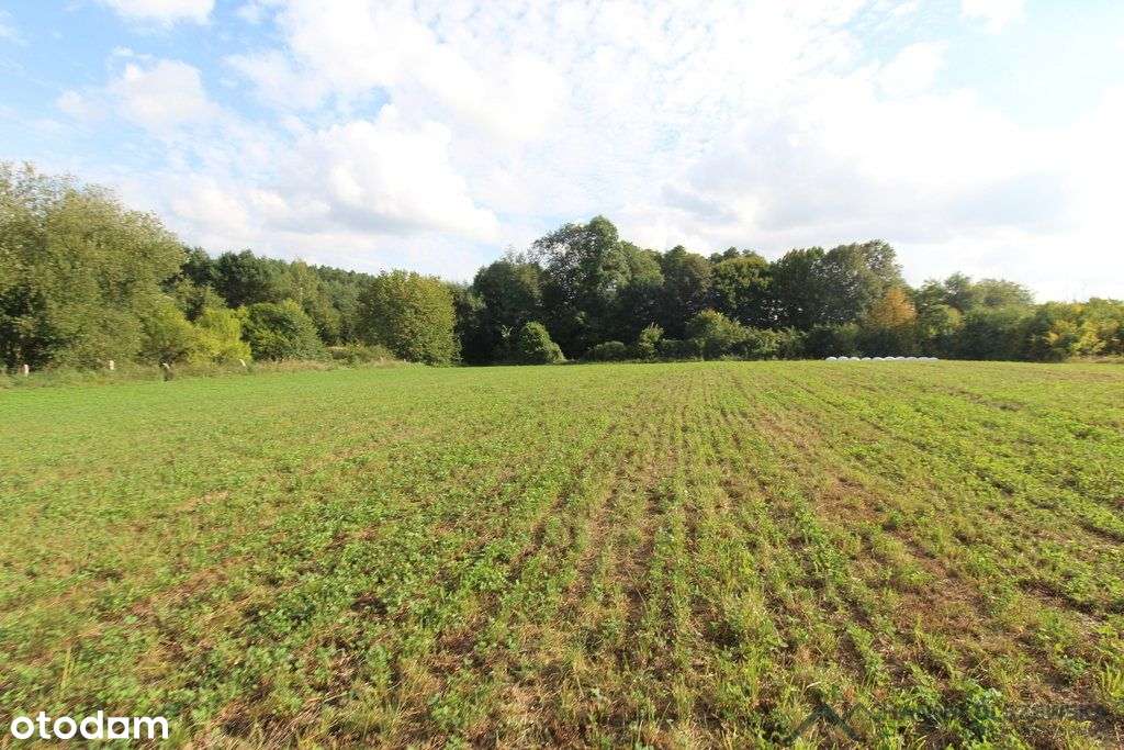 Działa przy jeziorze Łąkorz-4