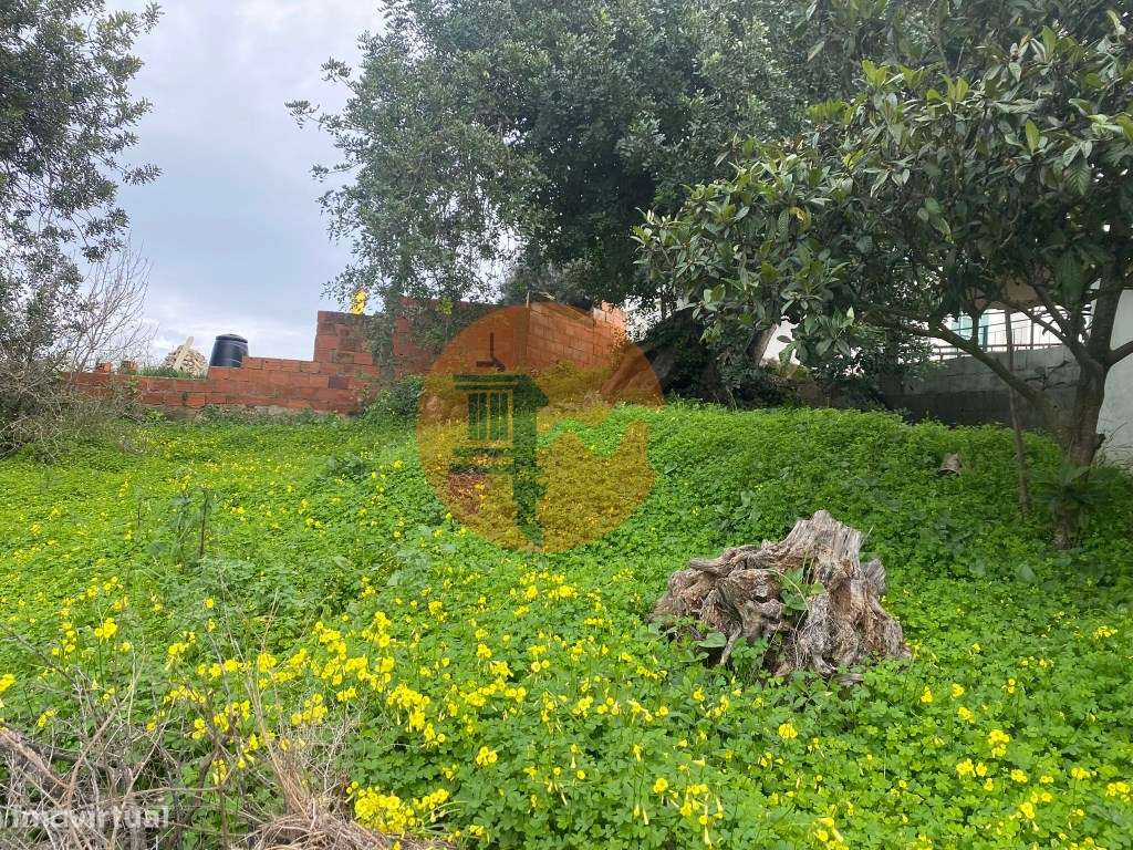 Terreno Rustico - Grande imagem: 3/12