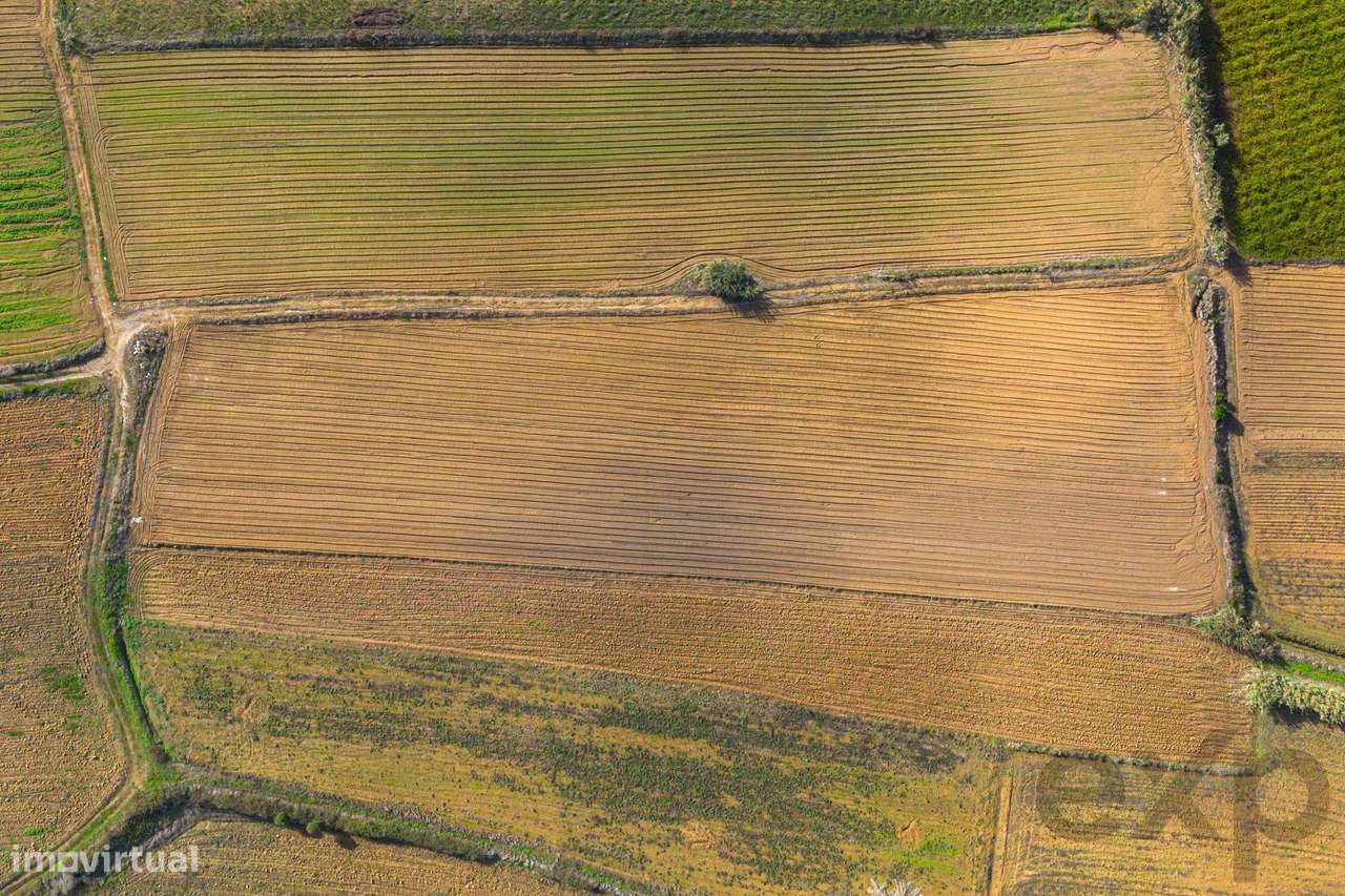 Terreno com bom potencial - Grande imagem: 5/10