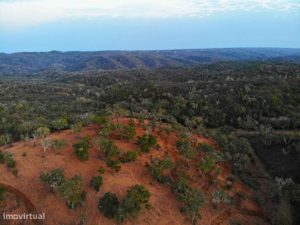 Terreno para Venda com 34 Hectares com Ruina na Serra de Grândola /...-10