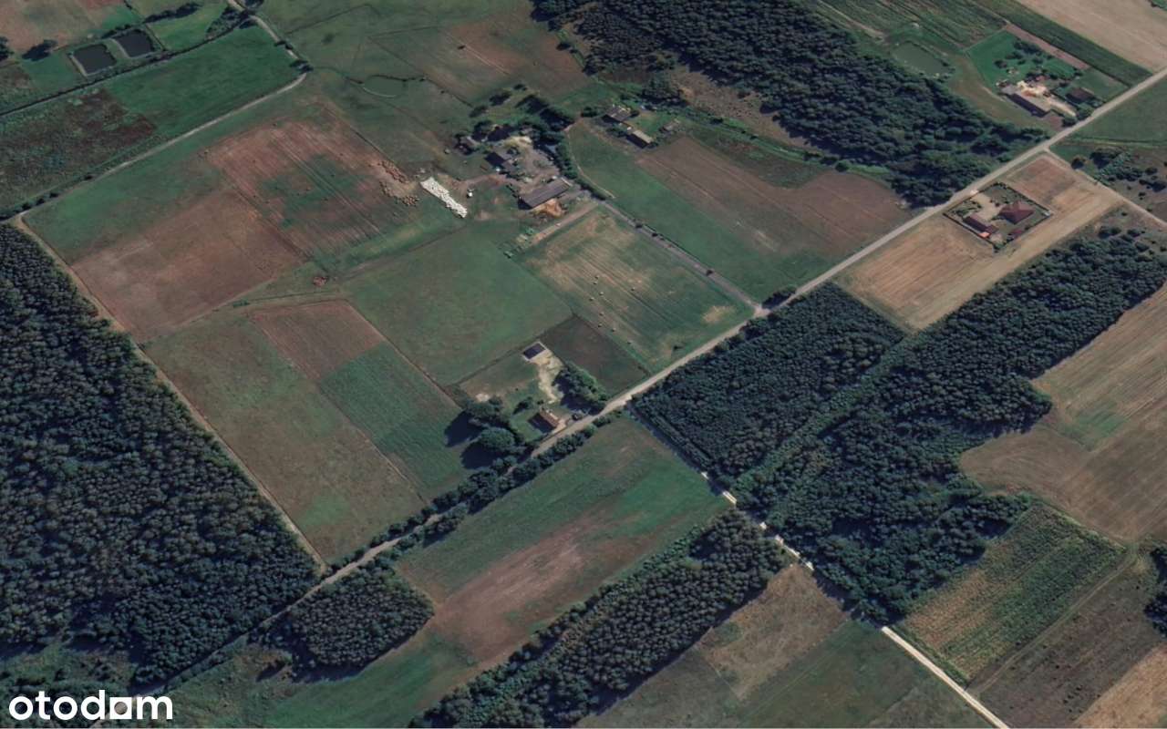 Na sprzedaż działka pod lasem w cichej okolicy | Rudniki - Kolonia. - Pełny obrazek: 4/6