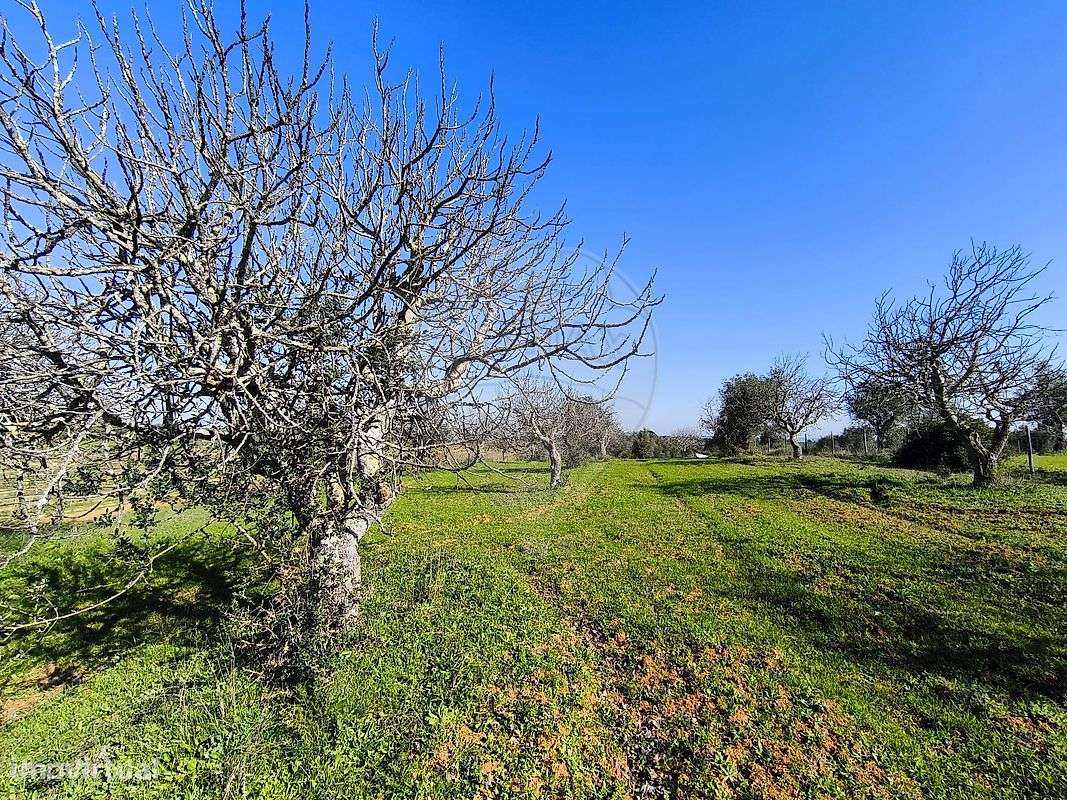 Terreno  para venda - Grande imagem: 5/9