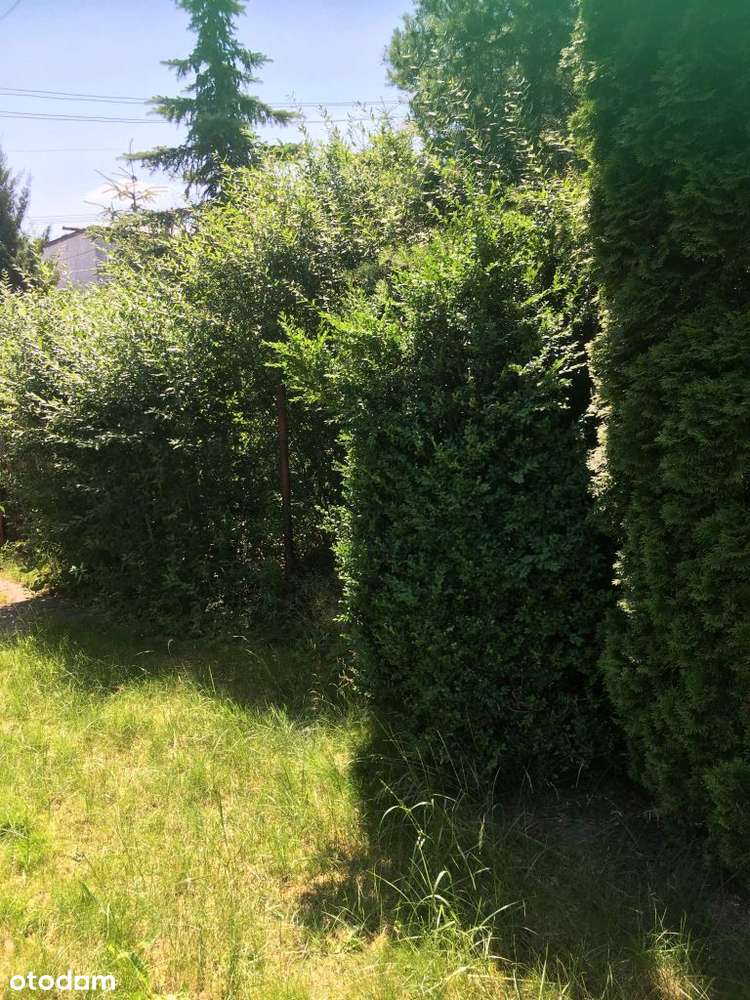 Nowa Nizsza Cena !!!!!!!!Super Oferta Na Rodzinny-5