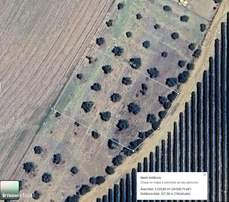 Terreno Rústico com Oliveiras com 3250 m2 Aljustrel-Rio de Moinhos Pr - Grande imagem: 5/14