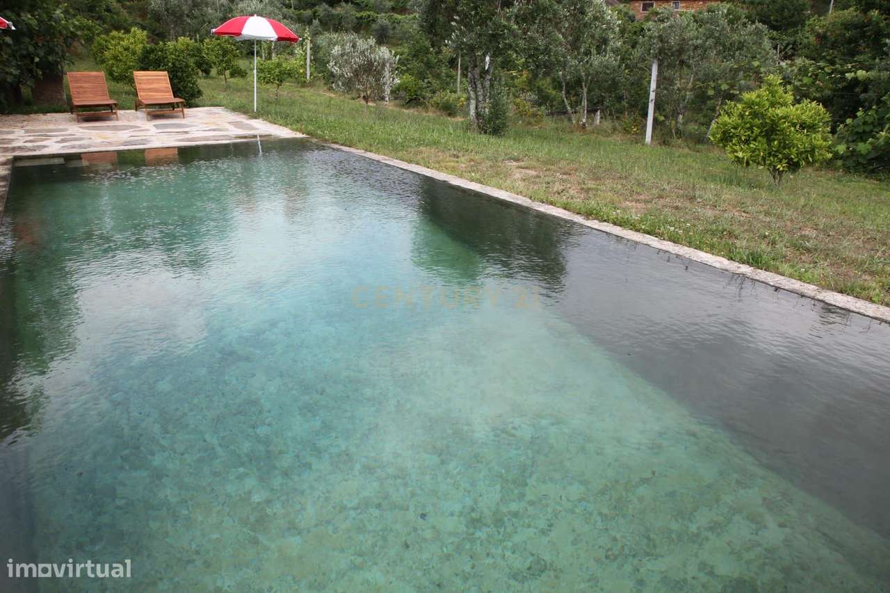 Charmosa Quinta em Castelo de Paiva-12