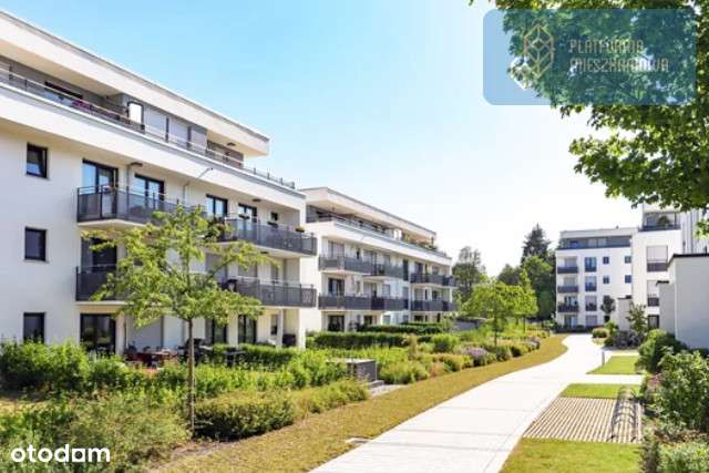 Stadion | Aow lotnisko | Zielono | 0%Prowizji - Pełny obrazek: 5/9