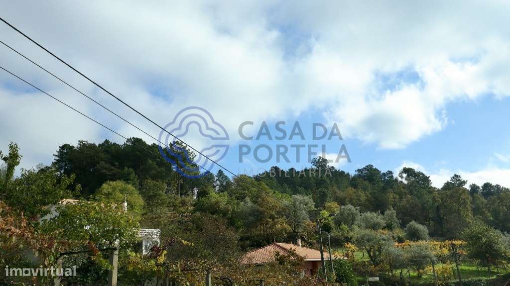 Terreno em St.ª Marinha do Zêzere - Grande imagem: 5/6