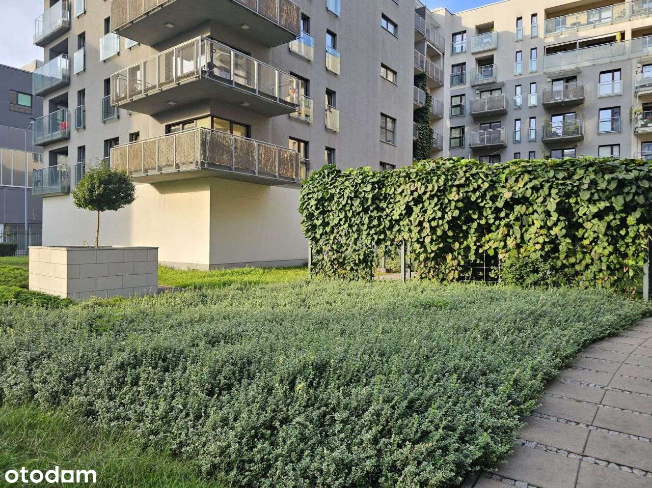 Sprzedam mieszkanie 3pok z Balkonem I Komórka I Ga-19