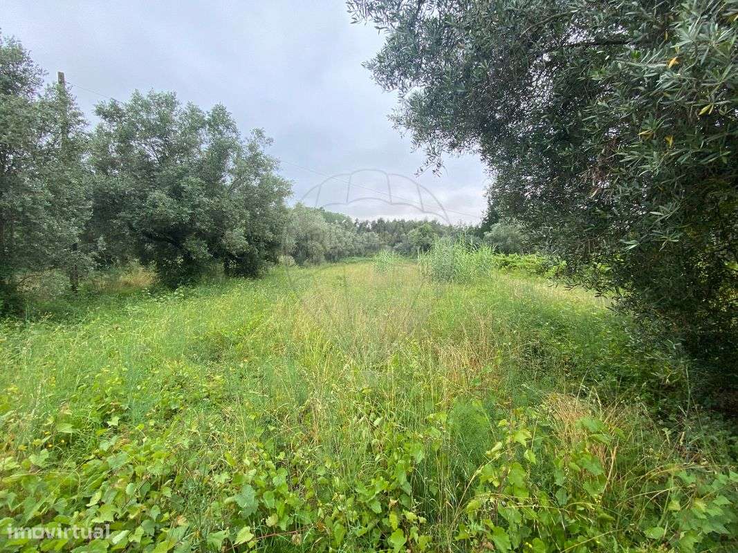 Terreno  para venda - Grande imagem: 5/18