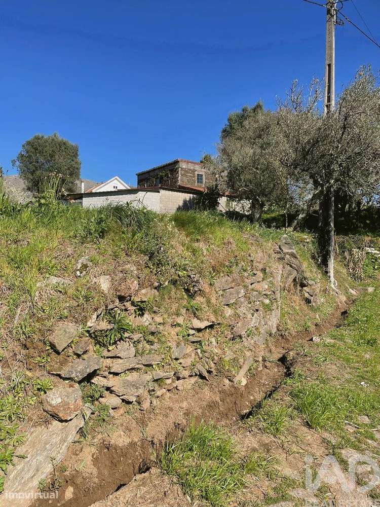 Terreno Agrícola em Montaria - Grande imagem: 5/11