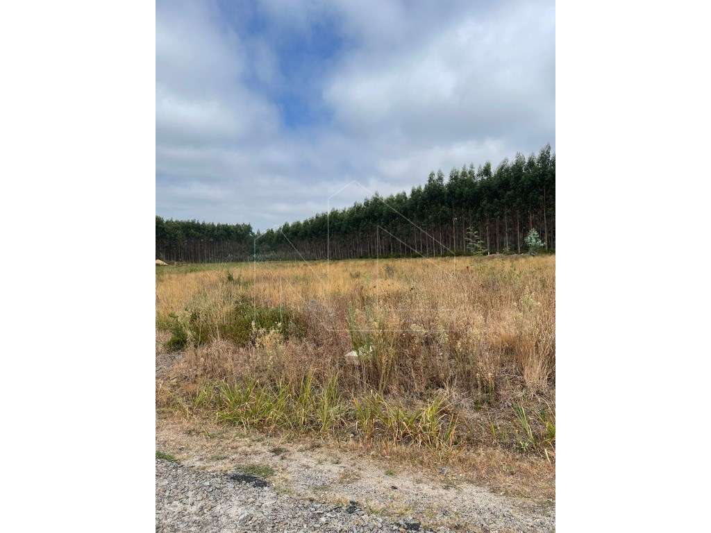 Terreno - Águeda - Grande imagem: 4/5