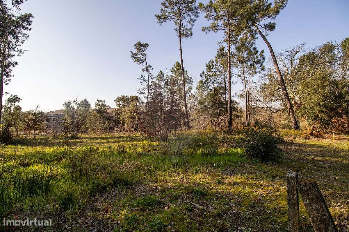 Terreno  para venda-5