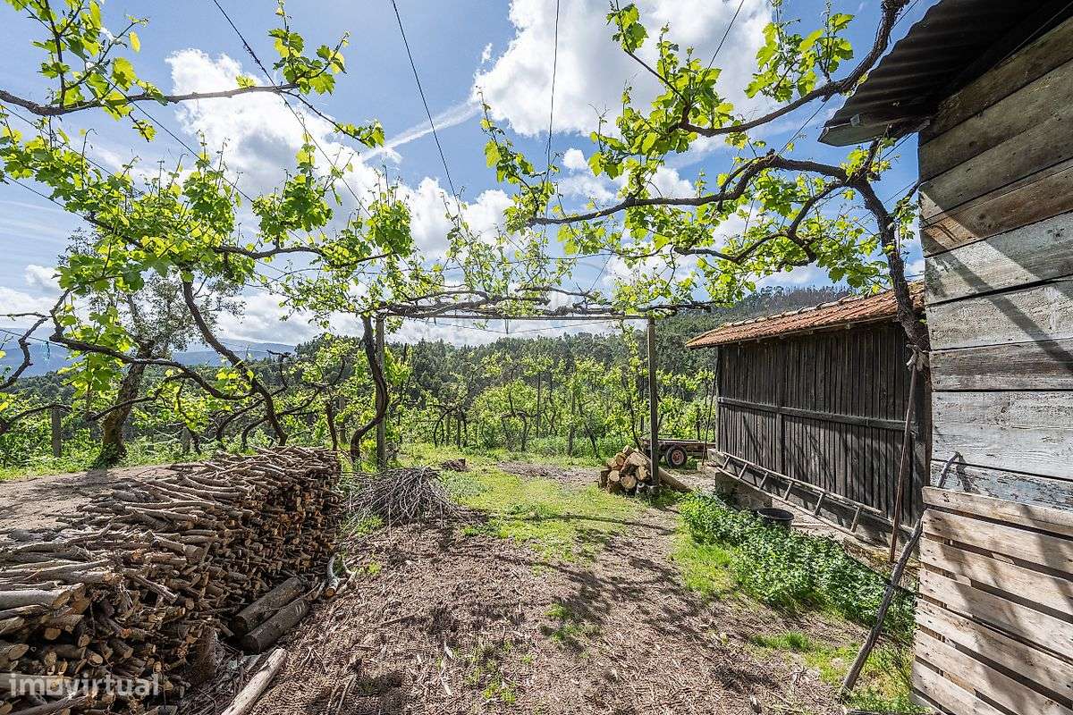 Quinta T4 para venda-23