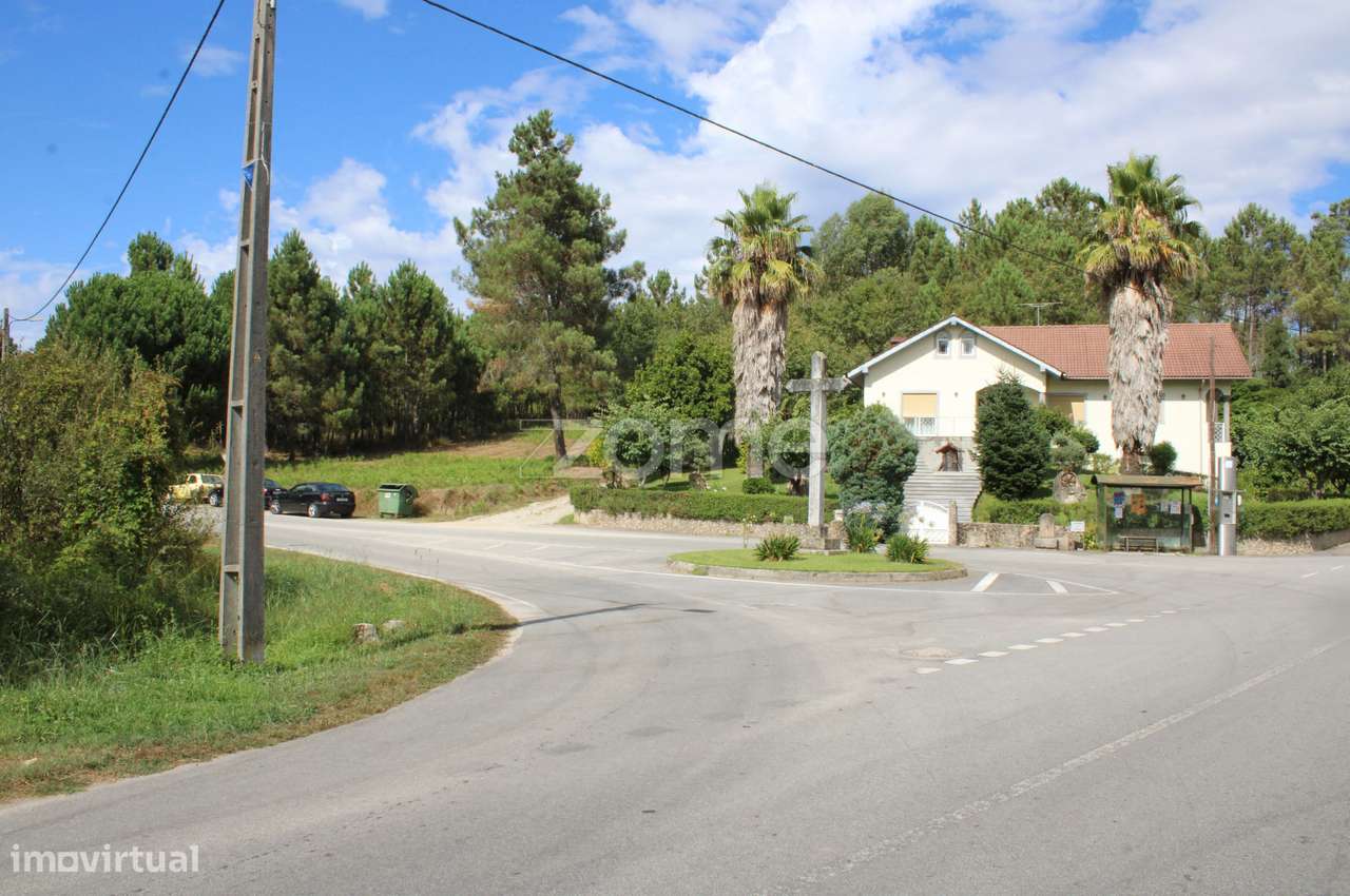 Terreno com pinhal e e mato a 15 minutos de Viseu - Grande imagem: 5/33