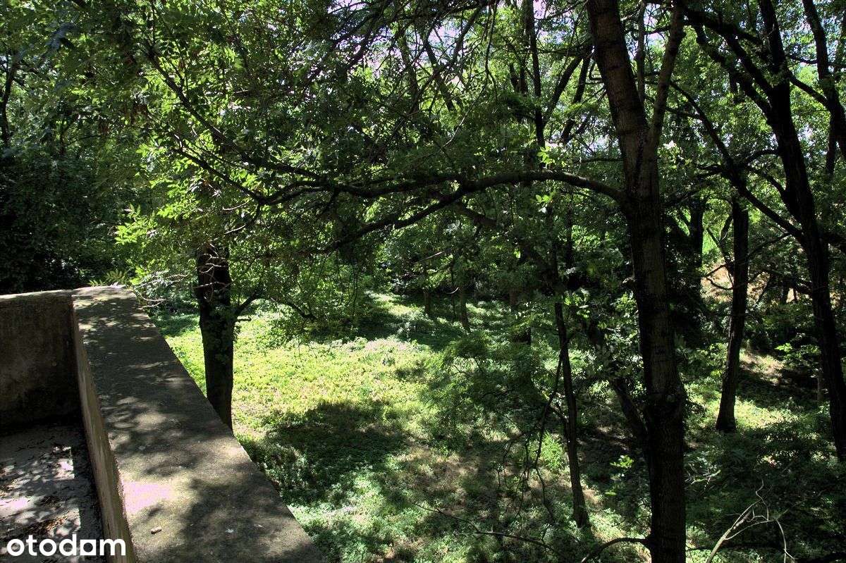 budynek po szkole 672m2 na działce 6700m2, Udanin,-6